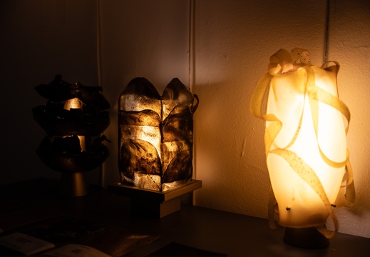 Food Waste Renaissance / Yasamin Shaikhi (IR)