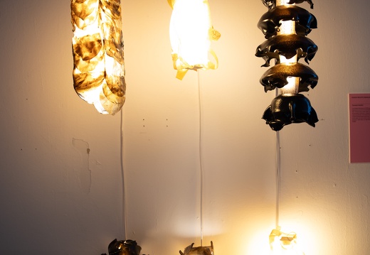 Food Waste Renaissance / Yasamin Shaikhi (IR)