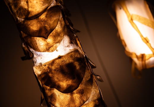 Food Waste Renaissance / Yasamin Shaikhi (IR)