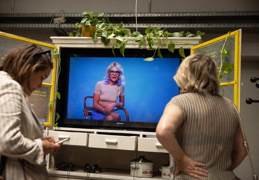 Die moderne Hausfrau / Barbara Reiter (AT), Luna Hörstlhofer (AT), Lucia Kottar-Trimmel (AT), Rosa Gottwald (AT)