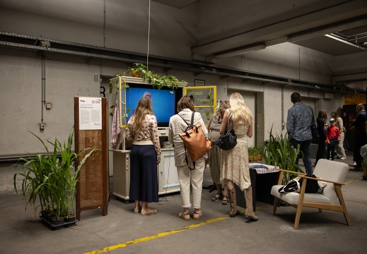 Die moderne Hausfrau / Barbara Reiter (AT), Luna Hörstlhofer (AT), Lucia Kottar-Trimmel (AT), Rosa Gottwald (AT)