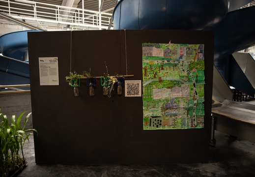 Green Food – Ein nachhaltiger Weg / Schüler*innen der Europaschule Linz – Praxisvolksschule der PH OÖ (AT)