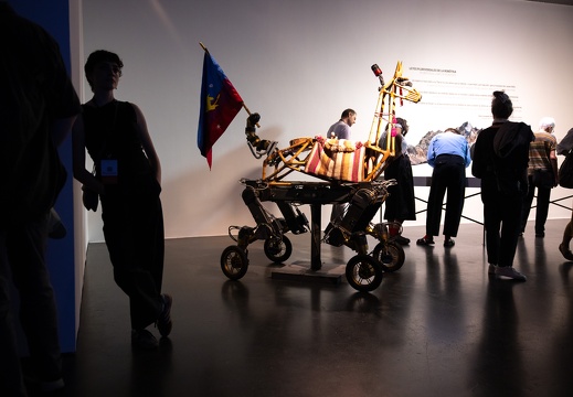 Guanaquerx / Paula Gaetano Adi (AR/US)