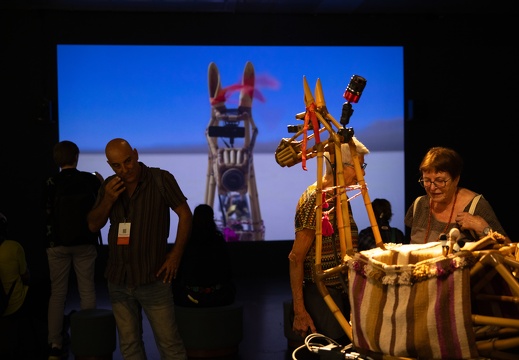 Guanaquerx / Paula Gaetano Adi (AR/US)