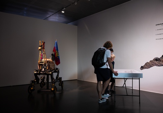 Guanaquerx / Paula Gaetano Adi (AR/US)