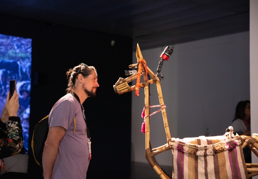 Guanaquerx / Paula Gaetano Adi (AR/US)