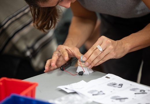 robo panic / Ars Electronica (AT)