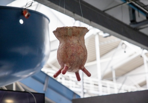 Das Ziegenkäsemachen aus der Sicht der Ziege / Nico Pflügler (AT), Aleksa Jović (AT), Gilbert Gnos Productions (AT)