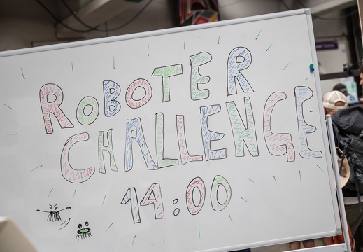 robo panic: Low-Tech Robot Challenge / Ars Electronica (AT)