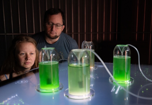 FadingColours / Noor Stenfert Kroese (NL), Amir Bastan (IR)