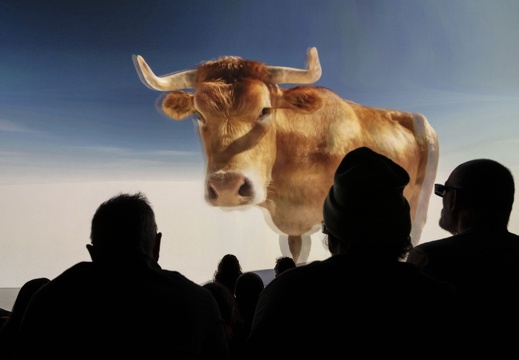 Connected Life / Sebastian Pichelhofer (AT), Sebastian Postl (AT), Valentin Postl (AT), Claudia Puck (AT), Johann Steinegger (AT), Florian Wurster (DE)