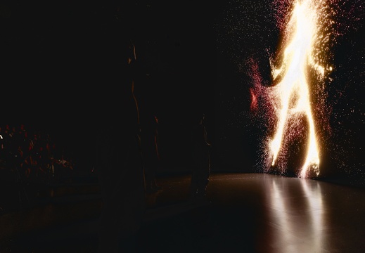 Foolish Flame / Leon Butler (IE), Peter Power (IE), SHARESPACE Consortium (EU)