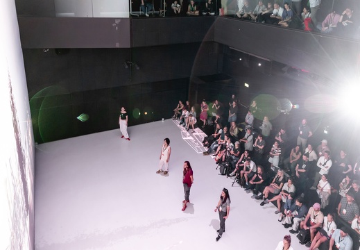 Foolish Flame / Leon Butler (IE), Peter Power (IE), SHARESPACE Consortium (EU)