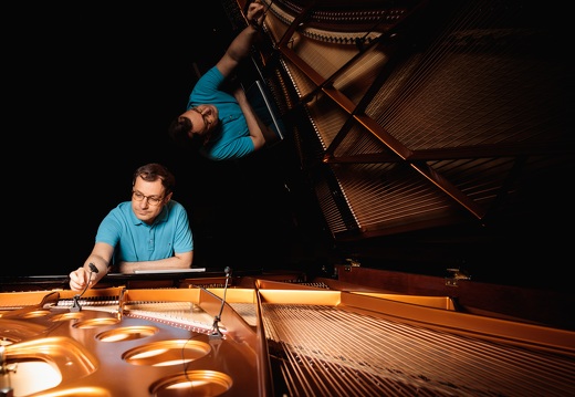 Bösendorfer 290 Imperial CEUS