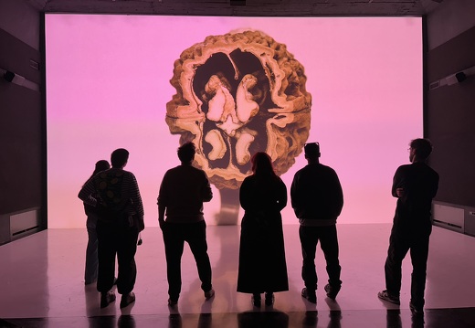 Verschleif / Laurin Döpfner (AT)