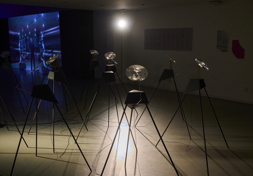 Pluriversal Futures – Ars Electronica Exhibition in Collaboration with Hong Kong Design Institute – Mineral Amnesia by Ioana Vreme Moser (RO)