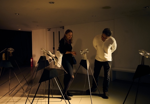 Pluriversal Futures – Ars Electronica Exhibition in Collaboration with Hong Kong Design Institute – Mineral Amnesia by Ioana Vreme Moser (RO) 