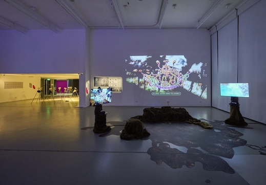 Pluriversal Futures – Ars Electronica Exhibition in Collaboration with Hong Kong Design Institute – Third World: The Bottom Dimension by Gabriel Massan (BR)