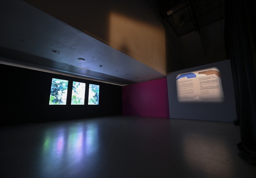 Pluriversal Futures – Ars Electronica Exhibition in Collaboration with Hong Kong Design Institute – Plant Blindness by Pui Yi CHIH, Kin Man AO, Kai Cheung WONG, Chi Shing YU / HKDI x Ars Electronica Student Talent Award 2025