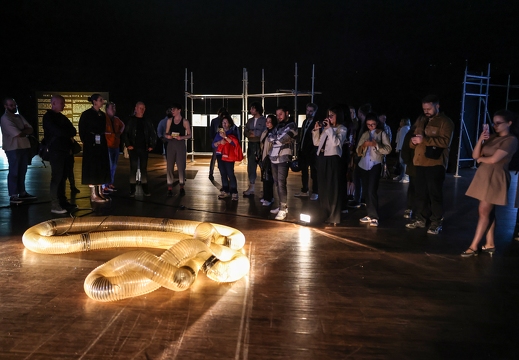 Data (&) Fragility - An exhibition about Art, Technology and Society by Ars Electronica X Zorlu PSM X Piksel – πTon/ 2 / Cod.Act by André Décosterd (CH) & Michel Décosterd (CH) 