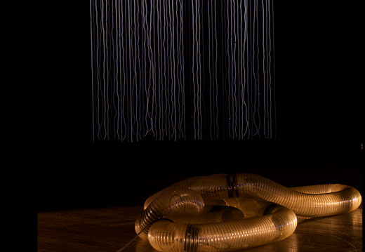 Data (&) Fragility - An exhibition about Art, Technology and Society by Ars Electronica X Zorlu PSM X Piksel – πTon/ 2 / Cod.Act by André Décosterd (CH) & Michel Décosterd (CH) 