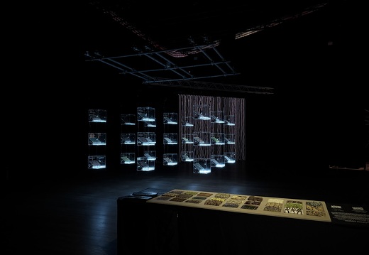 Data (&) Fragility - An exhibition about Art, Technology and Society by Ars Electronica X Zorlu PSM X Piksel – The Transparency of Randomness by Mathias Gartner (AT) & Vera Tolazzi (AT)