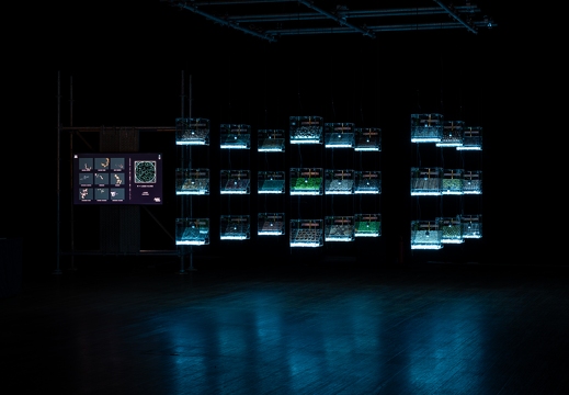 Data (&) Fragility - An exhibition about Art, Technology and Society by Ars Electronica X Zorlu PSM X Piksel – The Transparency of Randomness by Mathias Gartner (AT) & Vera Tolazzi (AT)