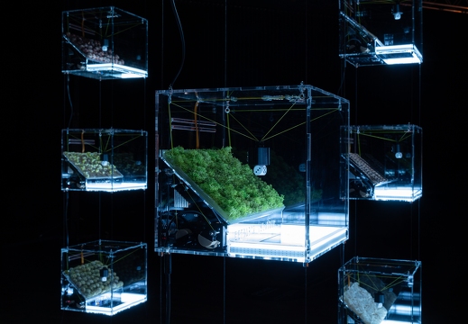 Data (&) Fragility - An exhibition about Art, Technology and Society by Ars Electronica X Zorlu PSM X Piksel – The Transparency of Randomness by Mathias Gartner (AT) & Vera Tolazzi (AT)