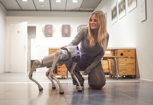 Robodog GO2 / Unitree Robotics (CN)